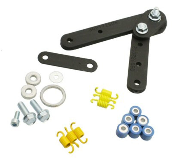 LeoVince TT Exhaust for Minarelli Clone 2-Stroke