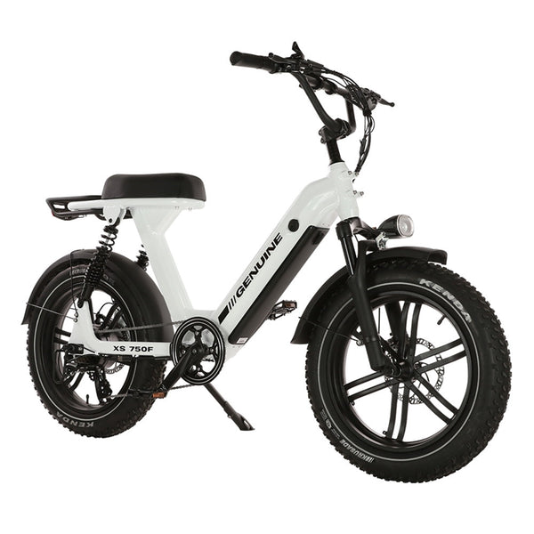 Genuine eBike XS 750F, 48V15Ah 750W Motor