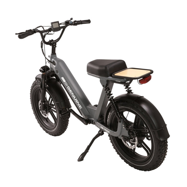 Genuine eBike XS 750F, 48V15Ah 750W Motor