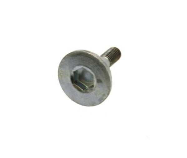Cam Chain Guide Bolt - QMB139