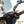 Prima Windshield (Tall); Genuine Roughhouse, Rattler