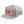 Parts For Scooters Flat Bill Trucker Hat