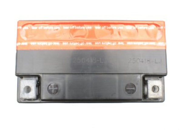 Universal Parts 12V 9AH Battery YTX9A-BS