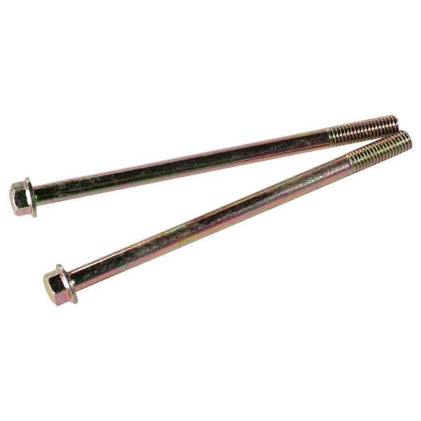 Bolt (M6x100, pair)