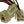 Primo Scooter Company Electrical Kit for Razor Dirt Quad