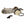 Universal Parts 50cc 2-stroke Long Case Engine - Short Block