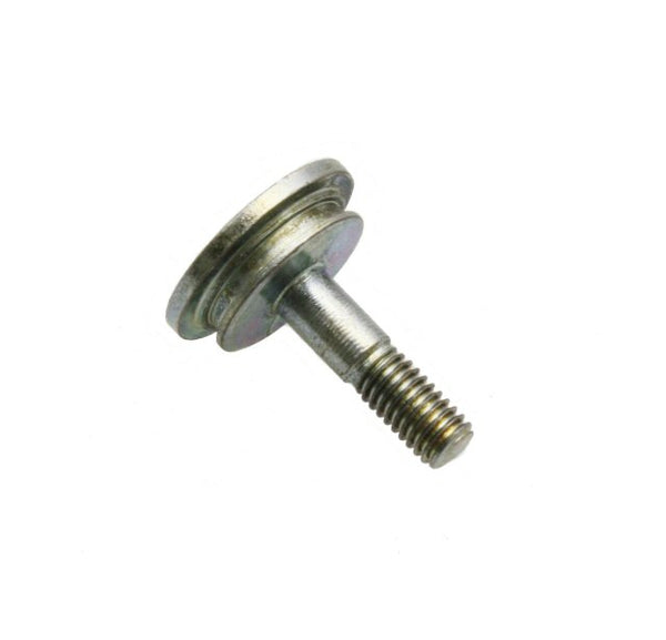 Cam Chain Guide Bolt - QMB139