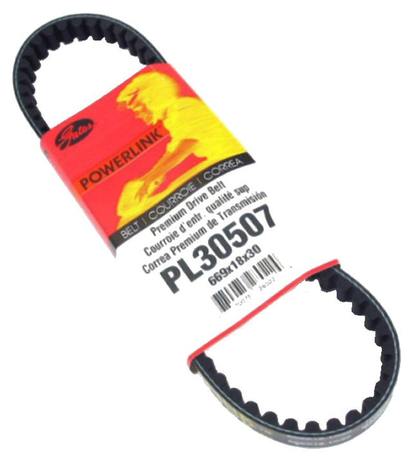 Gates Premium CVT Drive Belt 669-18.1-30