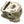 47mm QMB139 Non Emissions Head - 69mm Valves