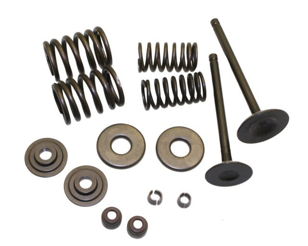 Universal Parts VOG 260 Valve Rebuild Kit